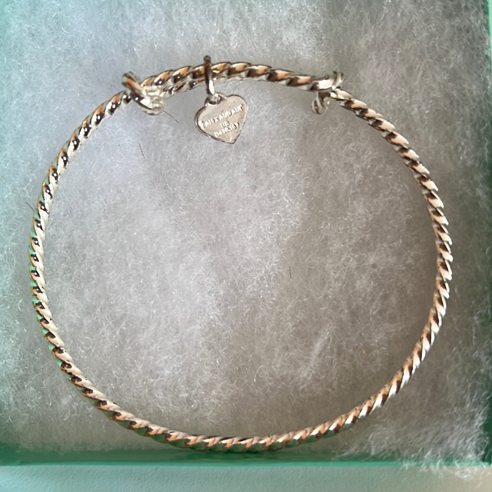 Alex. and Ani silver bangle bracelet